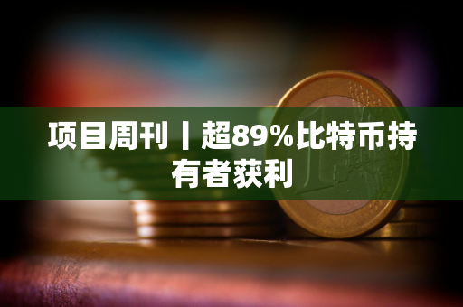 项目周刊丨超89%比特币持有者获利