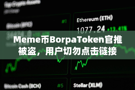 Meme币BorpaToken官推被盗，用户切勿点击链接