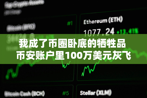 我成了币圈卧底的牺牲品 币安账户里100万美元灰飞烟灭