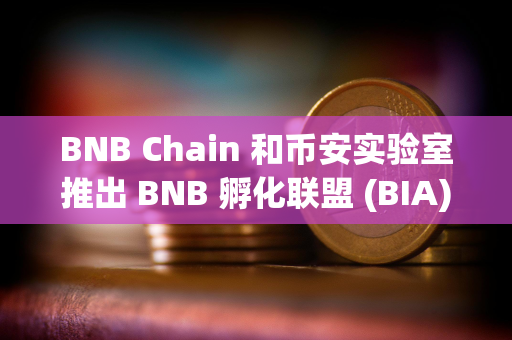 BNB Chain 和币安实验室推出 BNB 孵化联盟 (BIA)