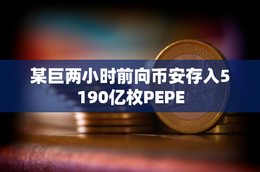 某巨两小时前向币安存入5190亿枚PEPE