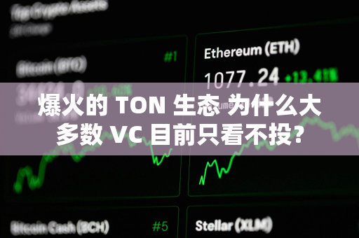 爆火的 TON 生态 为什么大多数 VC 目前只看不投？