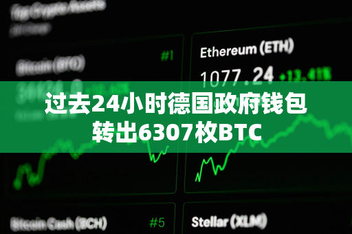 过去24小时德国政府钱包转出6307枚BTC