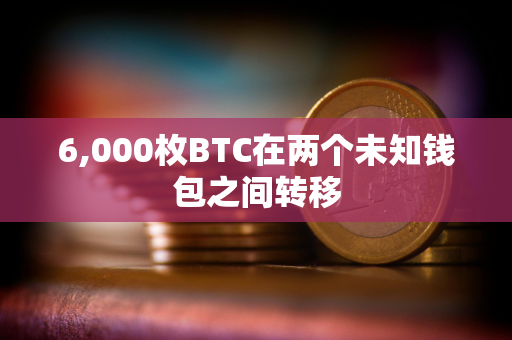 6,000枚BTC在两个未知钱包之间转移