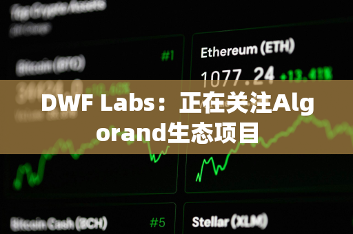 DWF Labs：正在关注Algorand生态项目