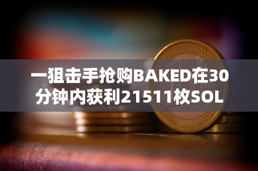 一狙击手抢购BAKED在30分钟内获利21511枚SOL