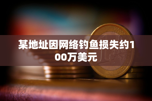 某地址因网络钓鱼损失约100万美元