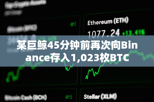 某巨鲸45分钟前再次向Binance存入1,023枚BTC