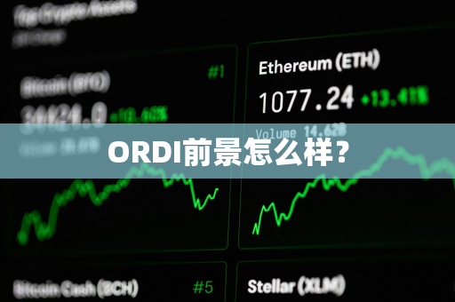 ORDI前景怎么样？