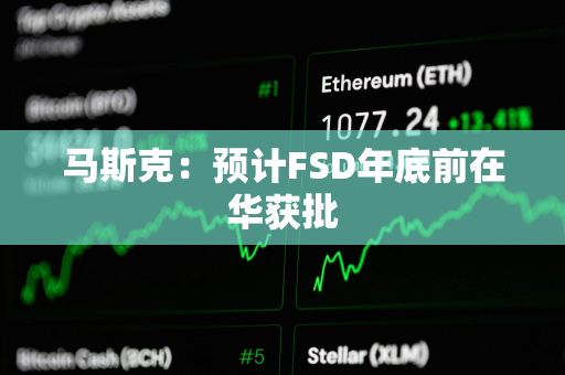 马斯克：预计FSD年底前在华获批