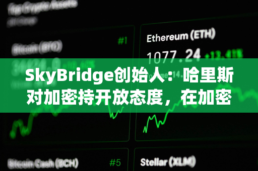 SkyBridge创始人：哈里斯对加密持开放态度，在加密方面会采取更温和的手段