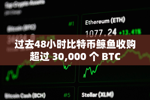 过去48小时比特币鲸鱼收购超过 30,000 个 BTC