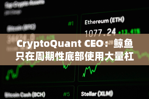 CryptoQuant CEO：鲸鱼只在周期性底部使用大量杠杆，当前市场并未过度杠杆化