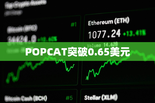 POPCAT突破0.65美元