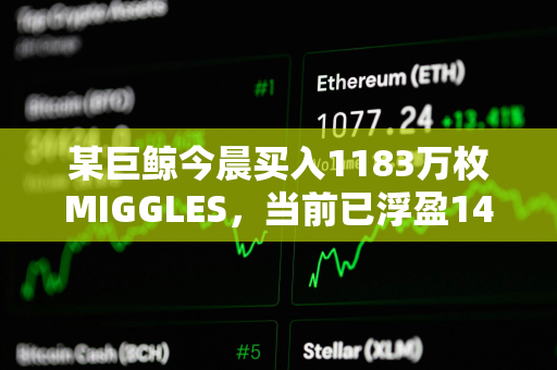 某巨鲸今晨买入1183万枚MIGGLES，当前已浮盈14.2万美元