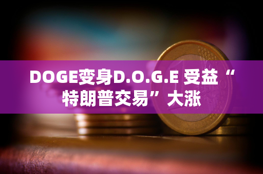 DOGE变身D.O.G.E 受益“特朗普交易”大涨