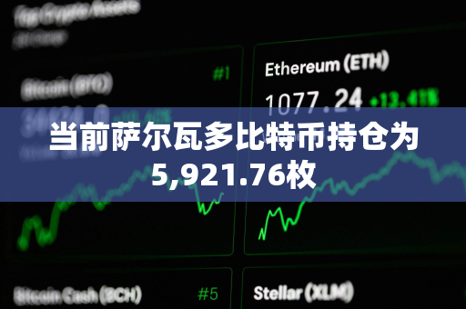 当前萨尔瓦多比特币持仓为5,921.76枚