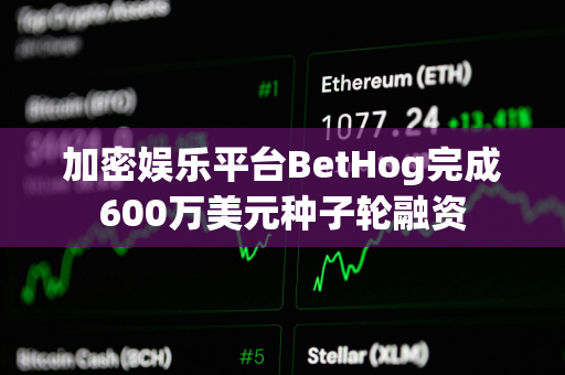 加密娱乐平台BetHog完成600万美元种子轮融资