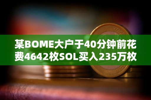 某BOME大户于40分钟前花费4642枚SOL买入235万枚SLERF