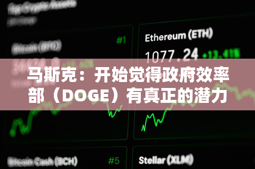 马斯克：开始觉得政府效率部（DOGE）有真正的潜力