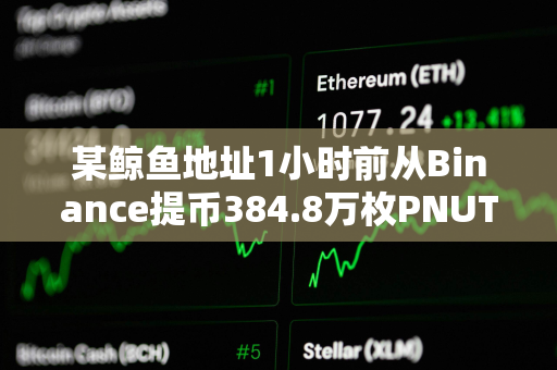 某鲸鱼地址1小时前从Binance提币384.8万枚PNUT