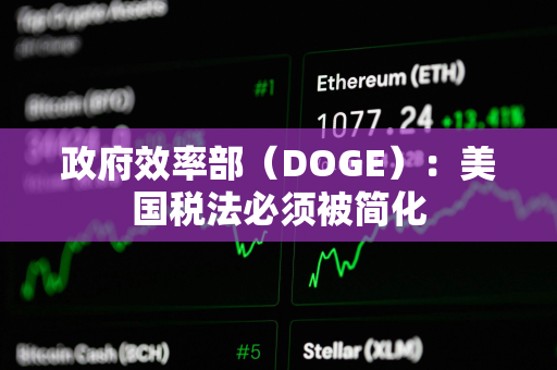 政府效率部（DOGE）：美国税法必须被简化