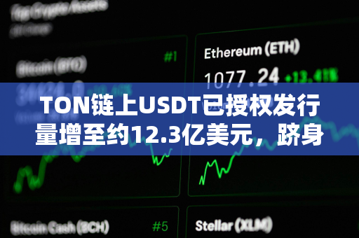 TON链上USDT已授权发行量增至约12.3亿美元，跻身前五