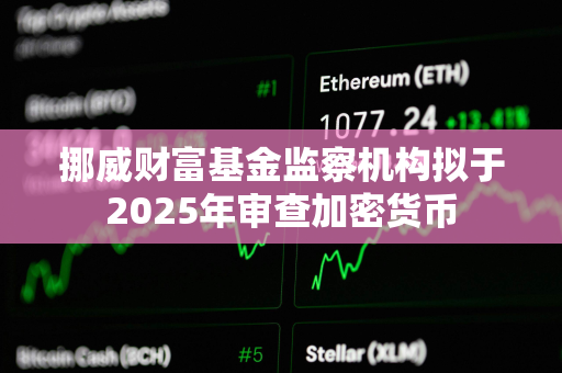 挪威财富基金监察机构拟于2025年审查加密货币