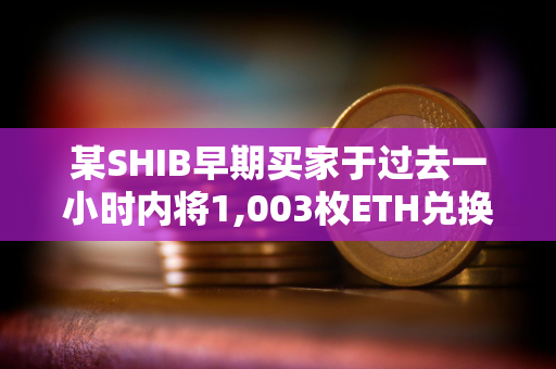 某SHIB早期买家于过去一小时内将1,003枚ETH兑换为28.6亿枚NEIRO