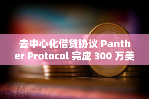 去中心化借贷协议 Panther Protocol 完成 300 万美元种子轮融资