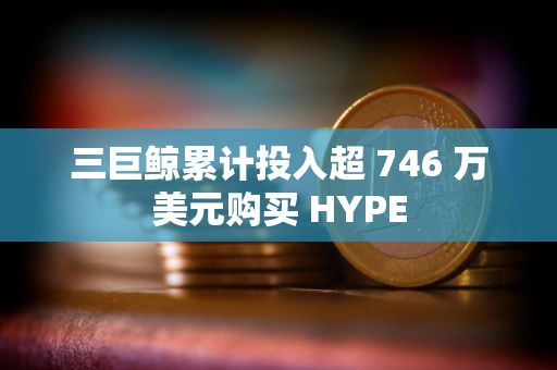 三巨鲸累计投入超 746 万美元购买 HYPE