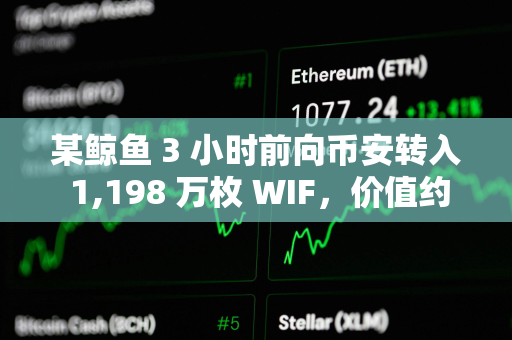 某鲸鱼 3 小时前向币安转入 1,198 万枚 WIF，价值约 1,750 万美元