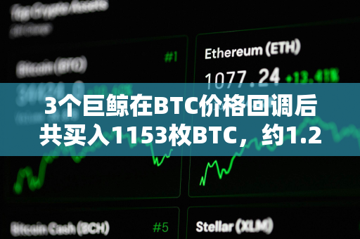 3个巨鲸在BTC价格回调后共买入1153枚BTC，约1.2亿美元