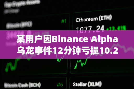 某用户因Binance Alpha乌龙事件12分钟亏损10.2万美元