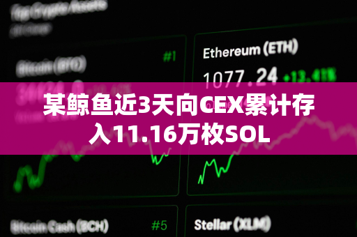 某鲸鱼近3天向CEX累计存入11.16万枚SOL