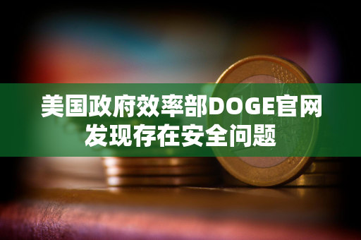 美国政府效率部DOGE官网发现存在安全问题