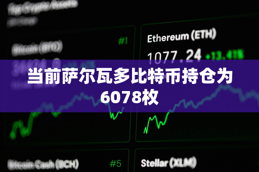 当前萨尔瓦多比特币持仓为6078枚