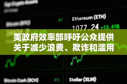 美政府效率部呼吁公众提供关于减少浪费、欺诈和滥用的想法