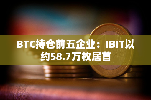 BTC持仓前五企业：IBIT以约58.7万枚居首