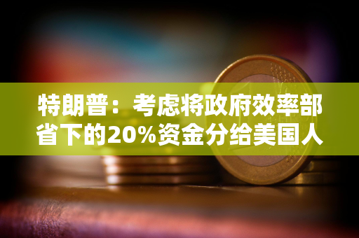 特朗普：考虑将政府效率部省下的20%资金分给美国人