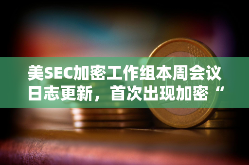 美SEC加密工作组本周会议日志更新，首次出现加密“批评者”参与