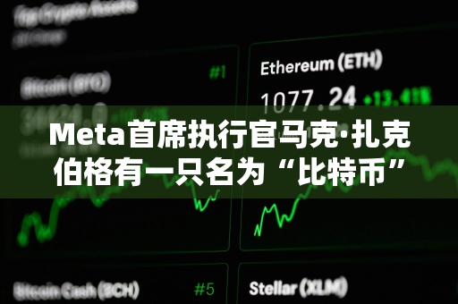 Meta首席执行官马克·扎克伯格有一只名为“比特币”的宠物山羊