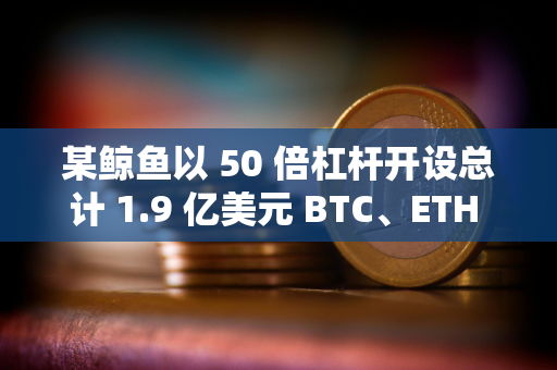 某鲸鱼以 50 倍杠杆开设总计 1.9 亿美元 BTC、ETH 多头头寸