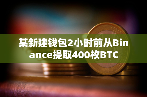 某新建钱包2小时前从Binance提取400枚BTC