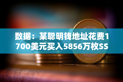 数据：某聪明钱地址花费1700美元买入5856万枚SSE，现浮盈242万美元