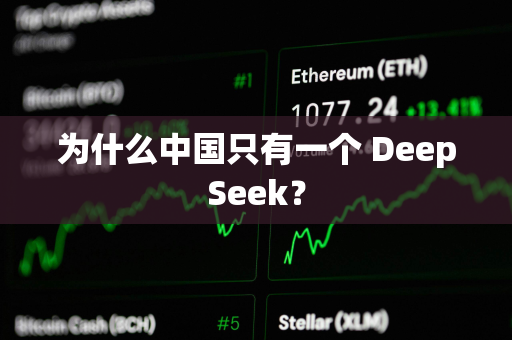 为什么中国只有一个 DeepSeek？