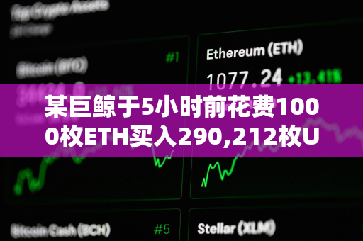 某巨鲸于5小时前花费1000枚ETH买入290,212枚UNI