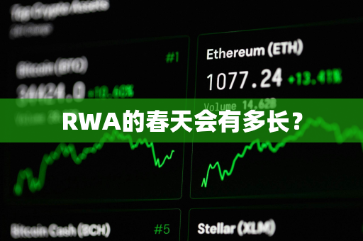 RWA的春天会有多长？