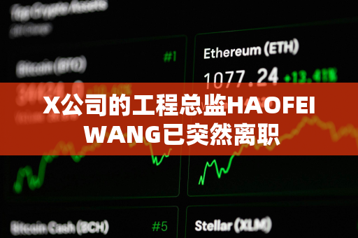 X公司的工程总监HAOFEI WANG已突然离职