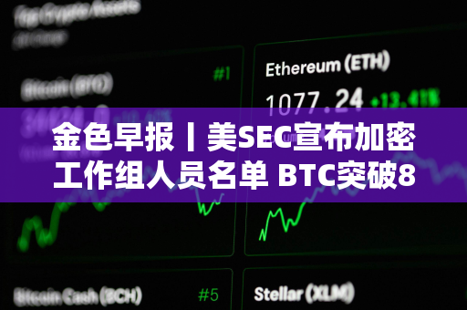 金色早报丨美SEC宣布加密工作组人员名单 BTC突破87000美元